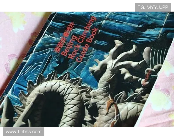 北京攀岩队团队协作的成功秘诀与挑战分析